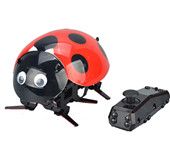 RC Ladybug Radio control bionic Insect toy-DIY electronic 2.4GHz wireless remote control(RC toys) intelligent ladybug robot-with rechargable battery SST-BOT