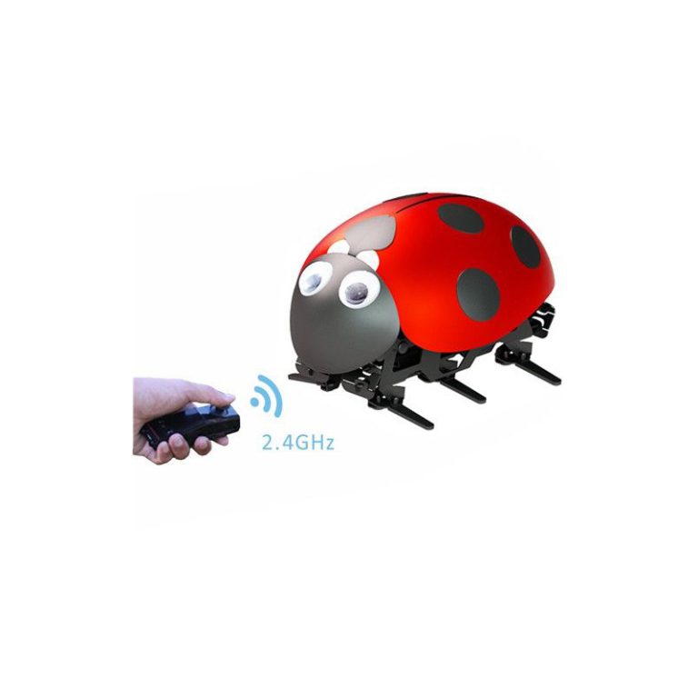 4240_dimg1