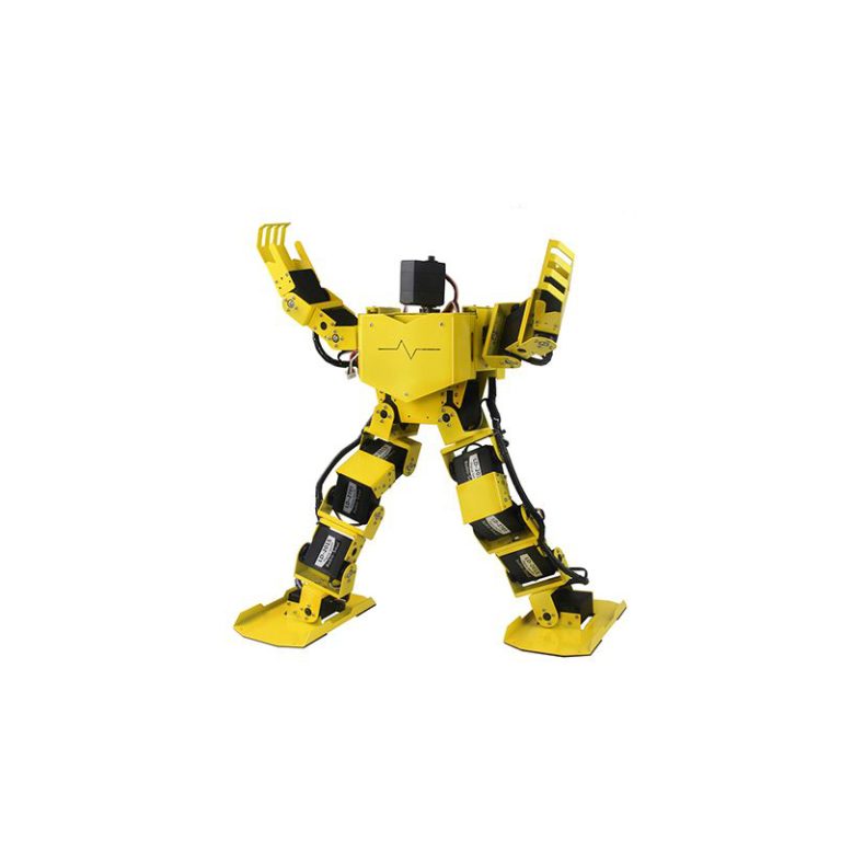 5001_dimg1